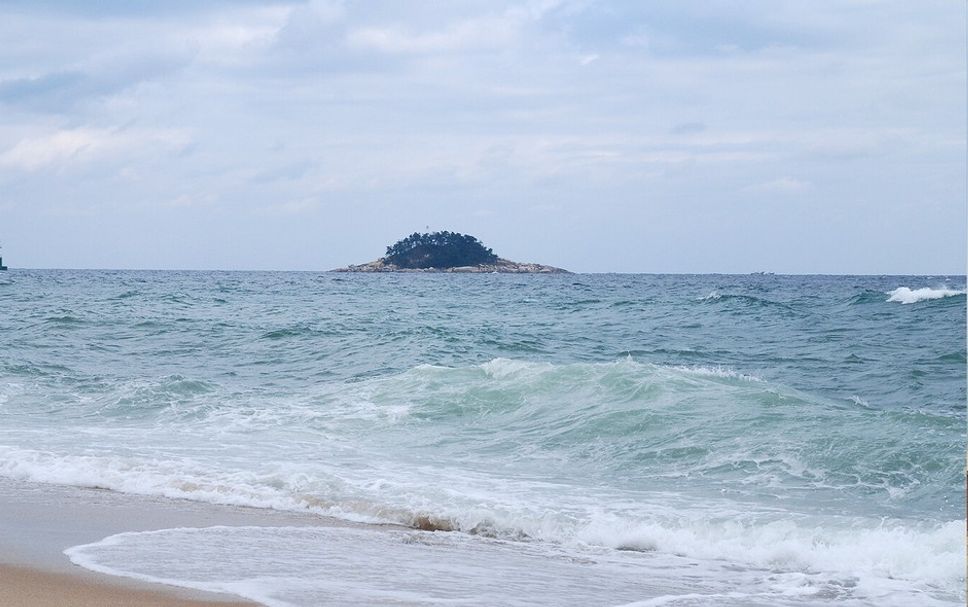 해변 사진