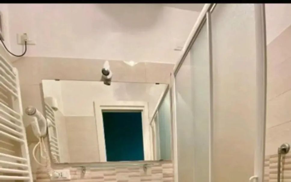 기타 사진