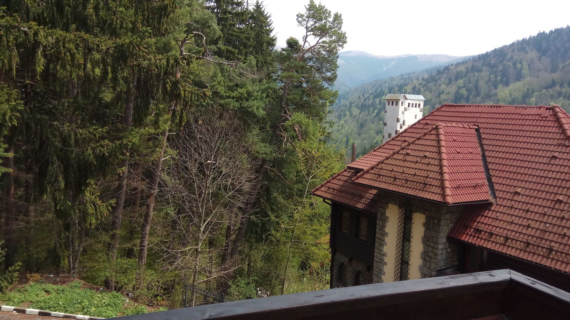 기타