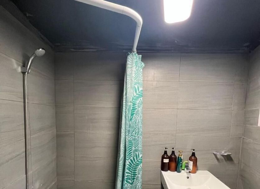 기타 사진
