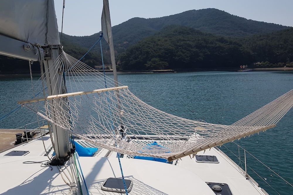 기타