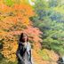 기타