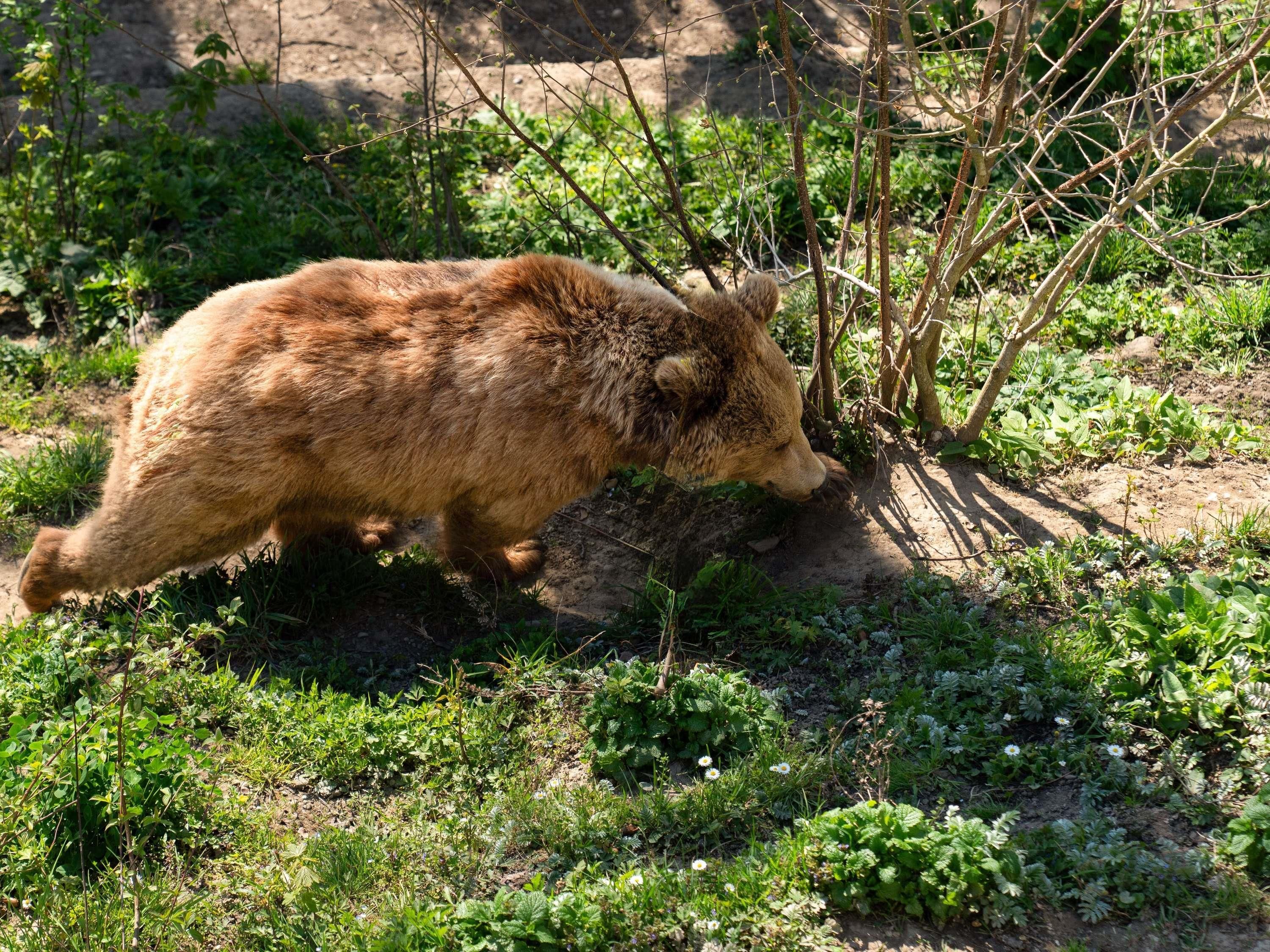 기타