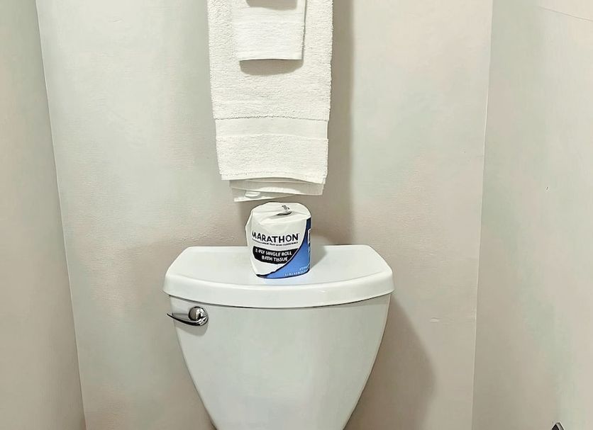 기타 사진