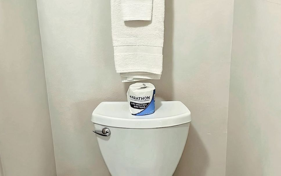 기타 사진