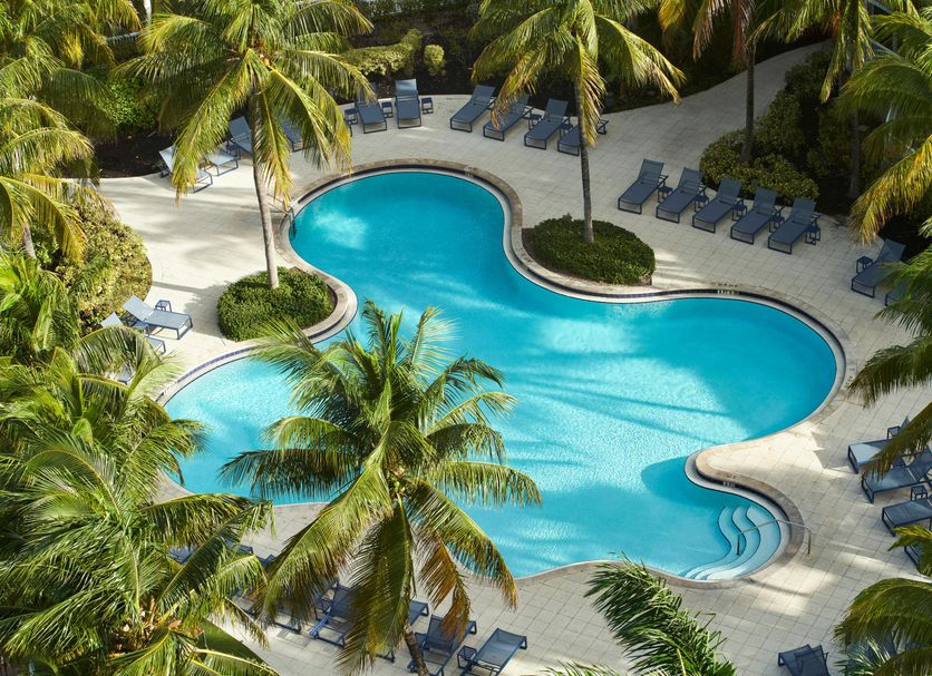 수영장 사진