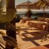 기타