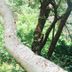 기타