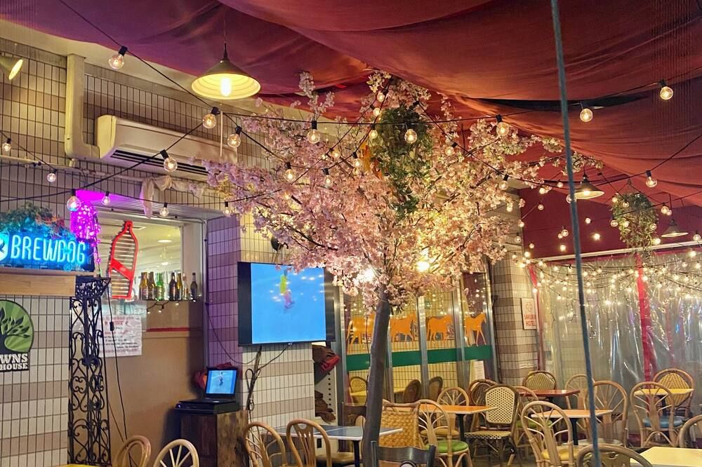 기타