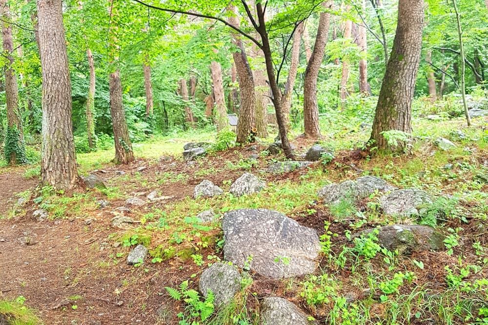 야외뷰