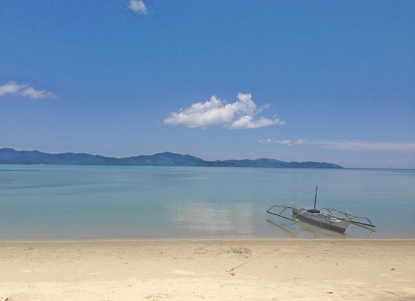 해변 사진