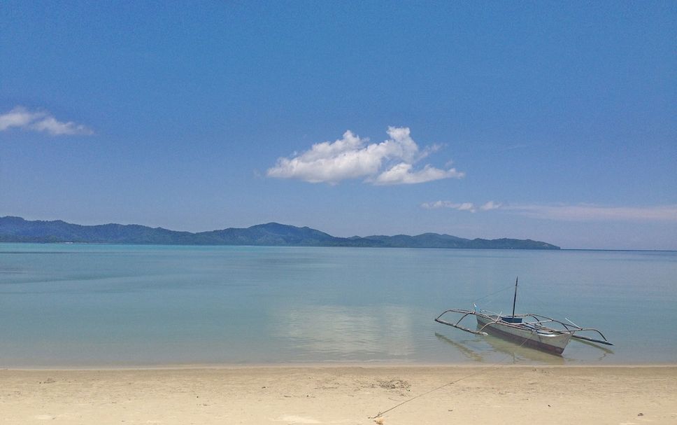 해변 사진