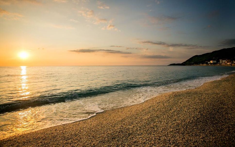해변 사진