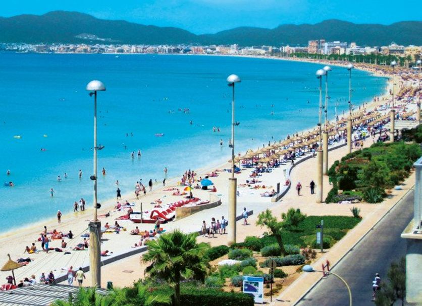 해변 사진