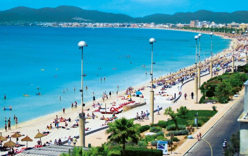 해변 사진